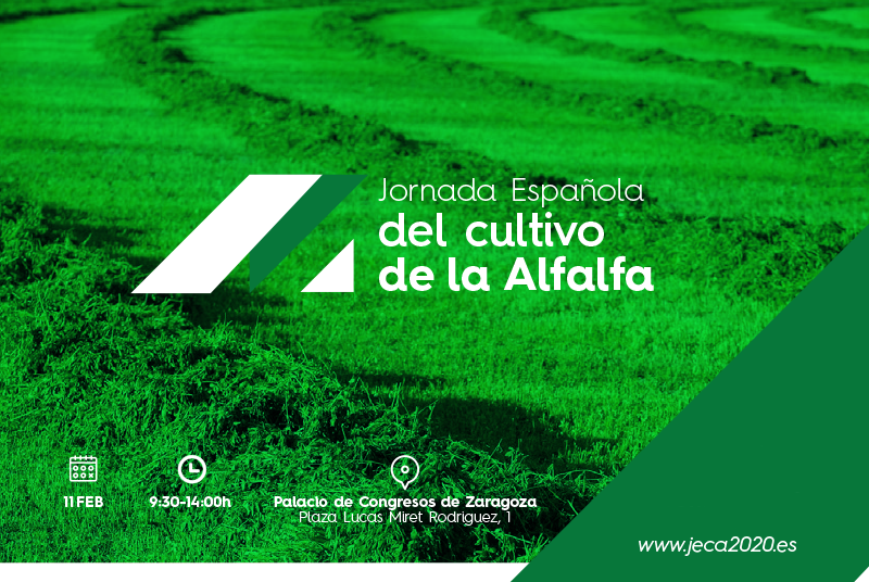 Lee más sobre el artículo Jornada Española del Cultivo de la Alfalfa