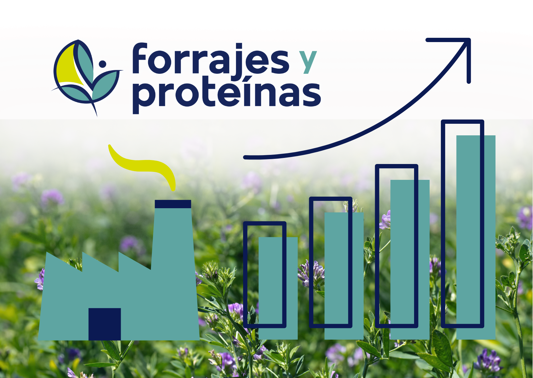 Lee más sobre el artículo Forrajes y Proteínas, mucho más que alfalfa deshidratada