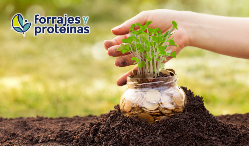 Lee más sobre el artículo Forrajes y Proteínas, un ejemplo de éxito empresarial en el sector de la alfalfa deshidratada
