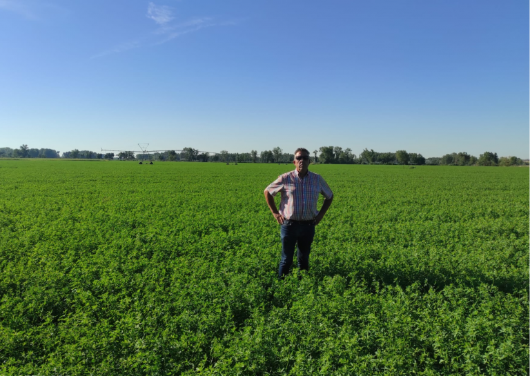 “La alfalfa es un cultivo rentable y recomendable”